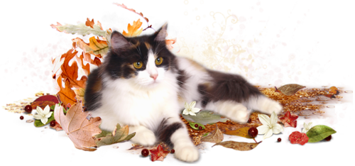 őszi állatok_103.png